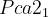 $Pca2_{1}$