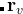 $\mathbf{r}_{v}$